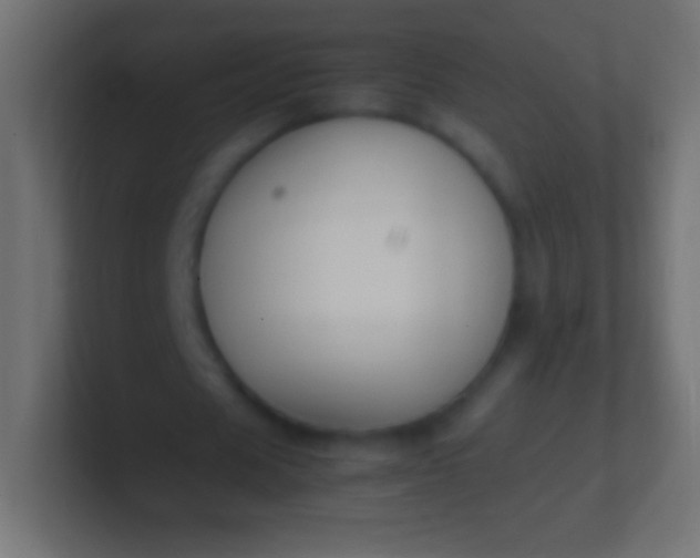 X0000100770625200807031211