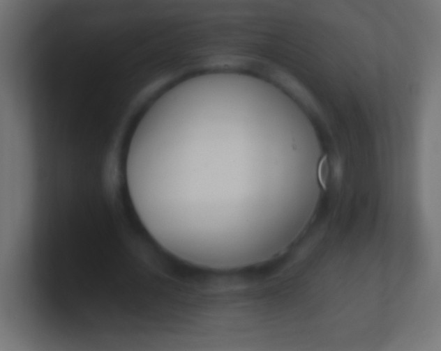 X0000100770628200807031211