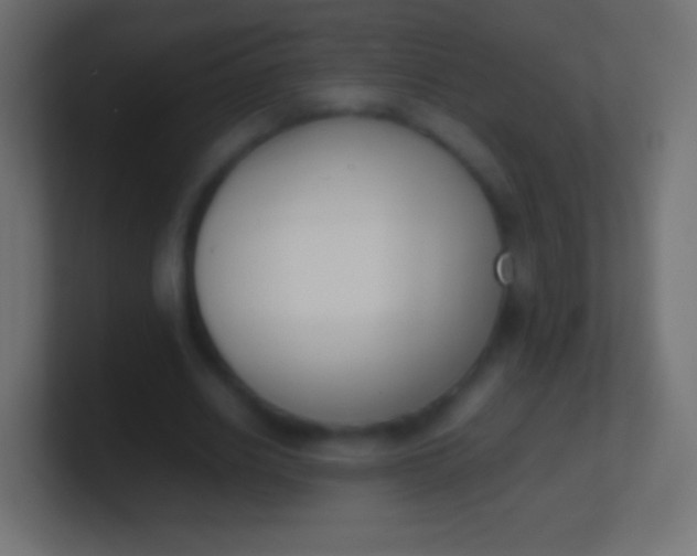X0000100770630200807031211