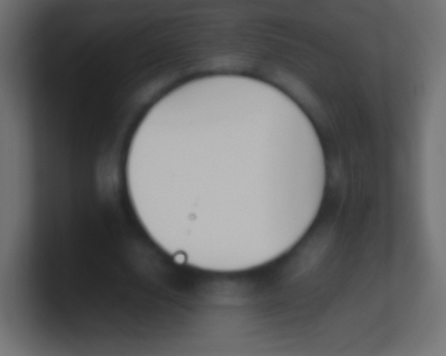 X0000100770632200807031211