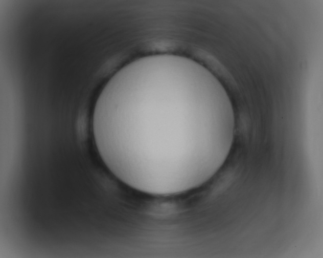 X0000100770640200807031211
