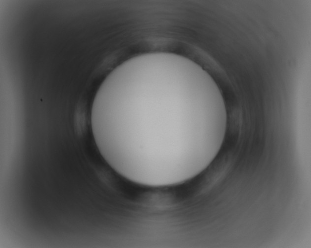 X0000100770644200807031211