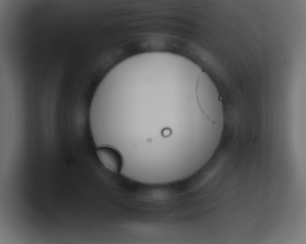 X0000100770645200807031211
