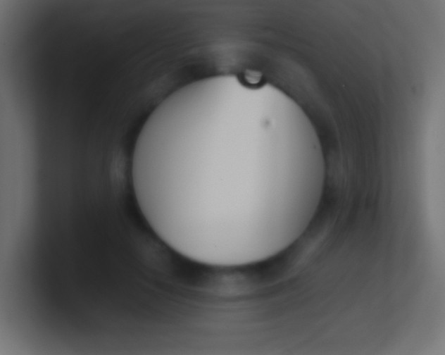 X0000100770650200807031211