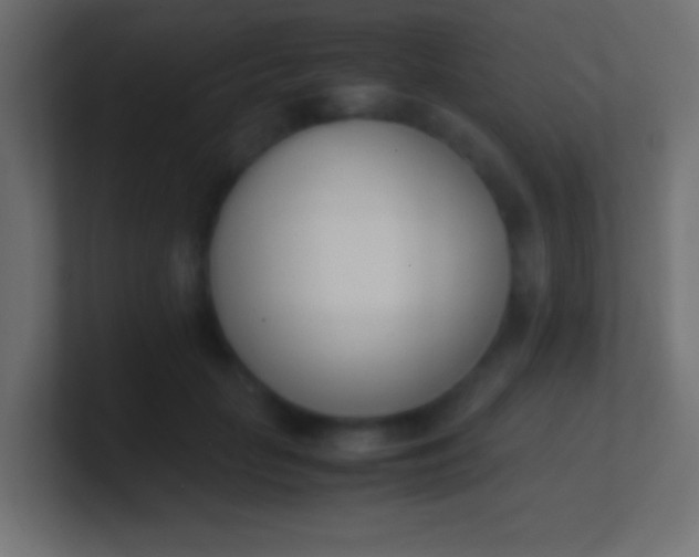 X0000100770653200807031211