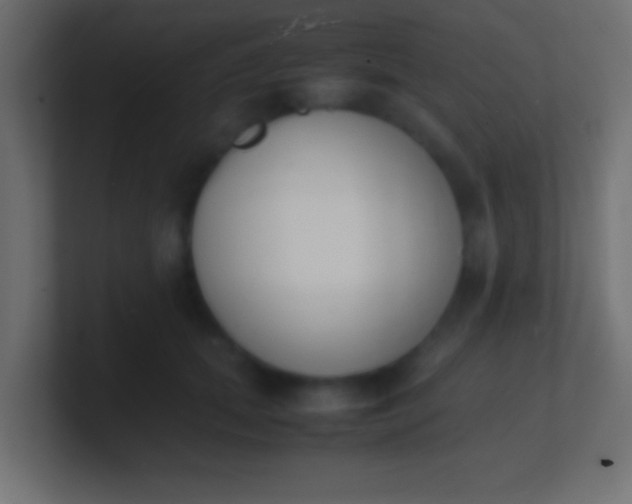 X0000100770655200807031211