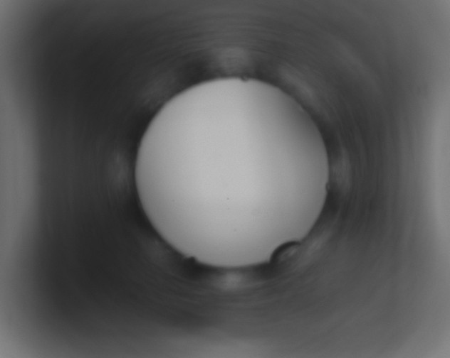 X0000100770662200807031211