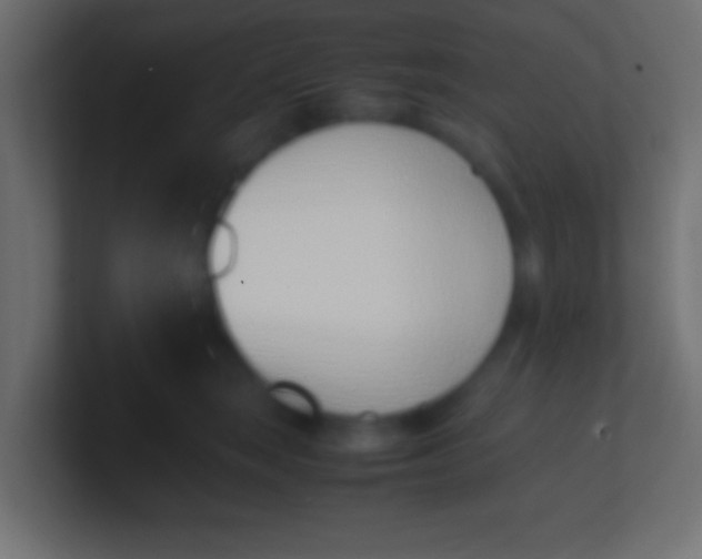 X0000100770663200807031211