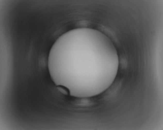 X0000100770665200807031211