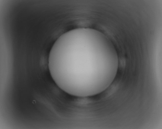X0000100770666200807031211