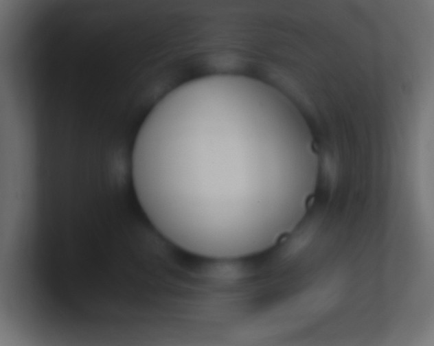 X0000100770668200807031211