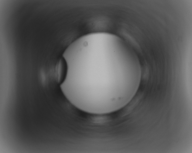 X0000100770669200807031211