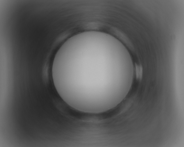 X0000100770675200807031211