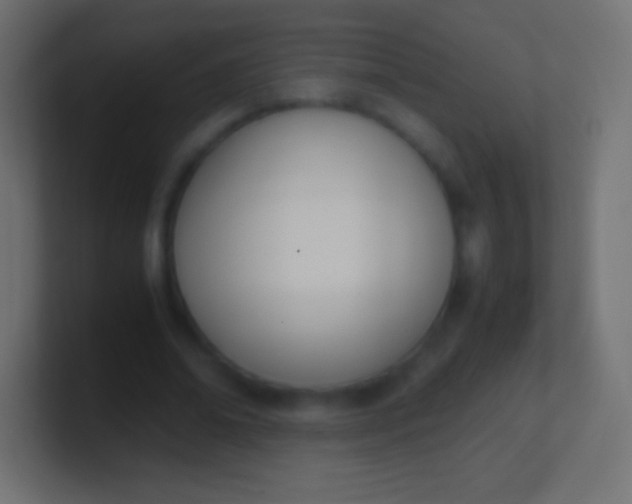 X0000100770678200807031211