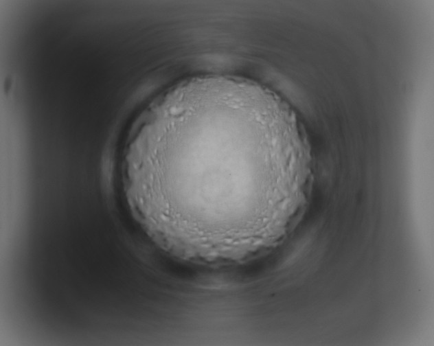 X0000100770679200807031211