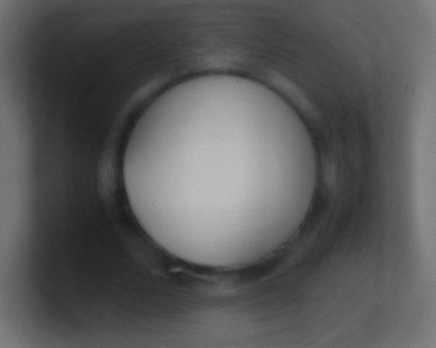 X0000100770680200807031211
