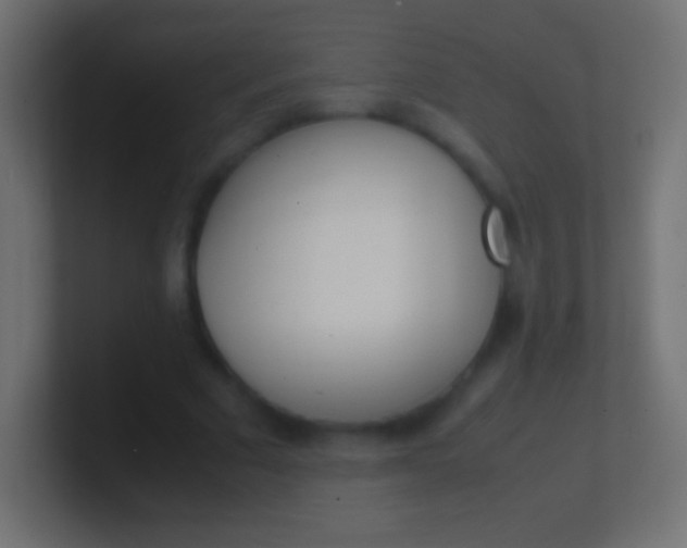 X0000100770681200807031211