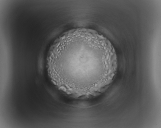 X0000100770683200807031211