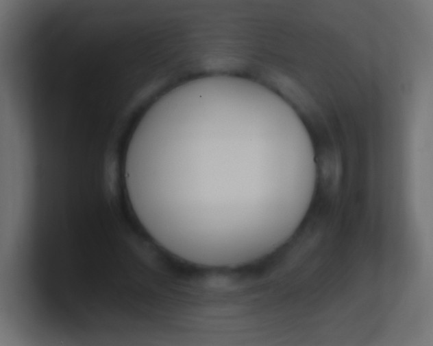 X0000100770684200807031210