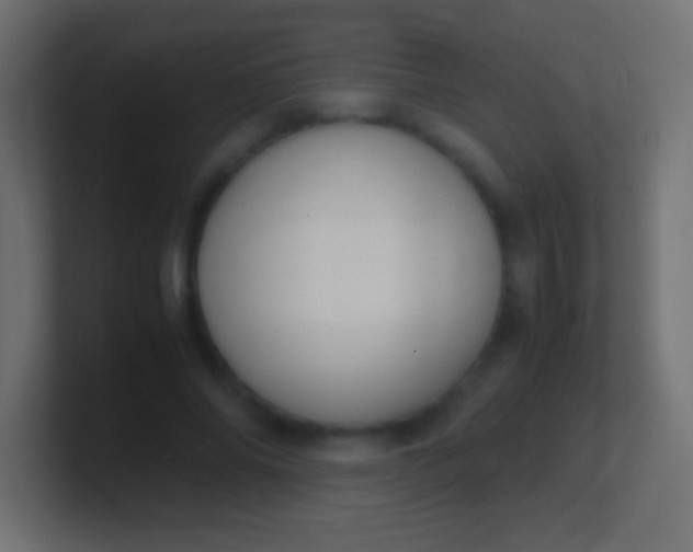 X0000100770686200807031210