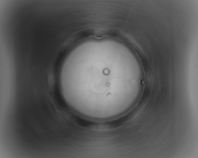 X0000100770691200807031210