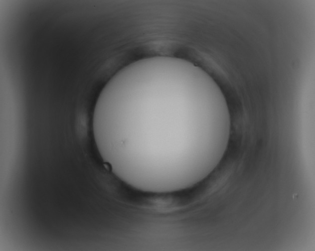 X0000100770693200807031210