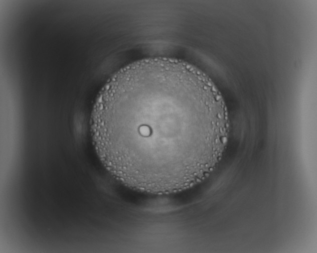 X0000100770695200807031210