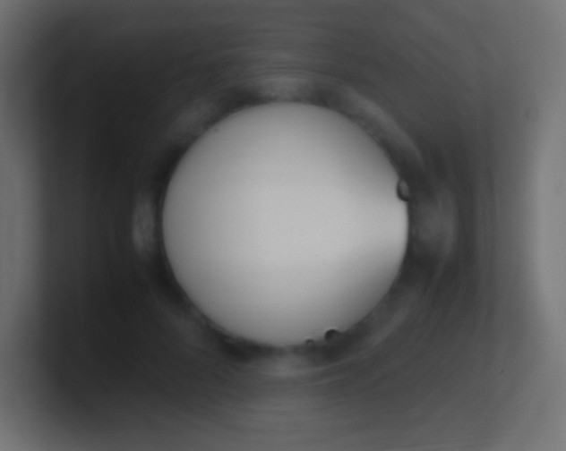 X0000100770696200807031210