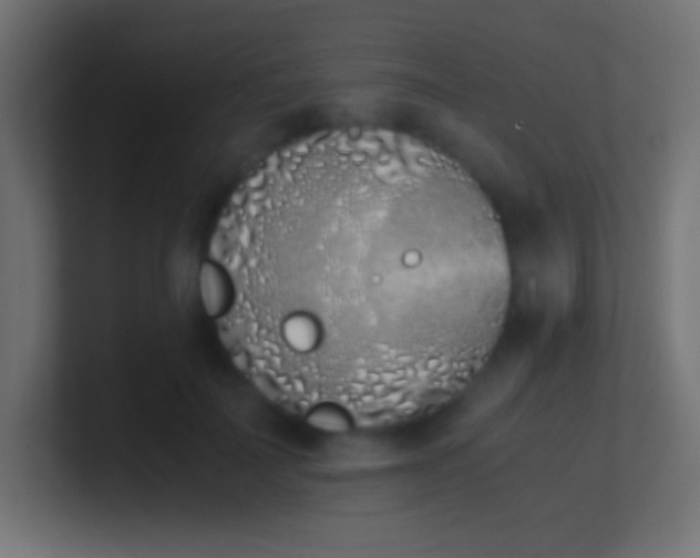 X0000100770699200807031210