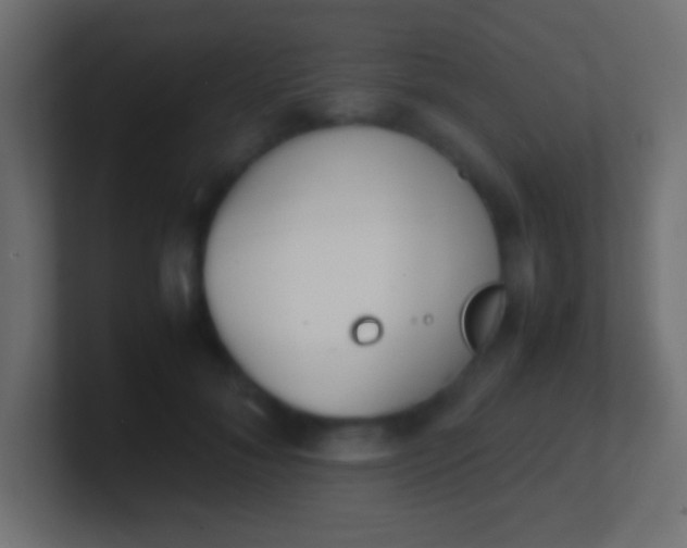 X0000100770700200807031210