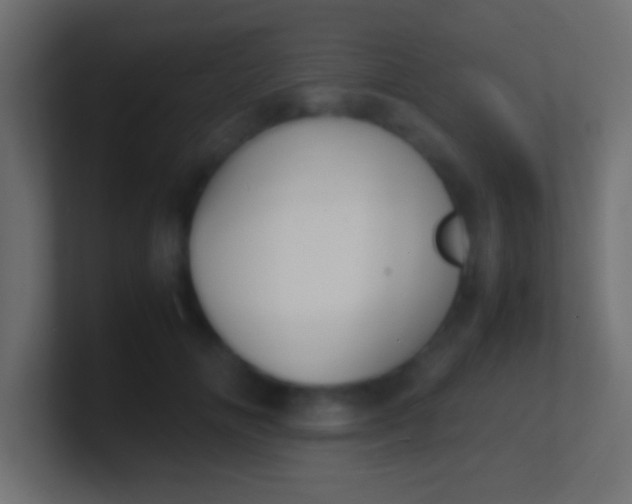 X0000100770702200807031210