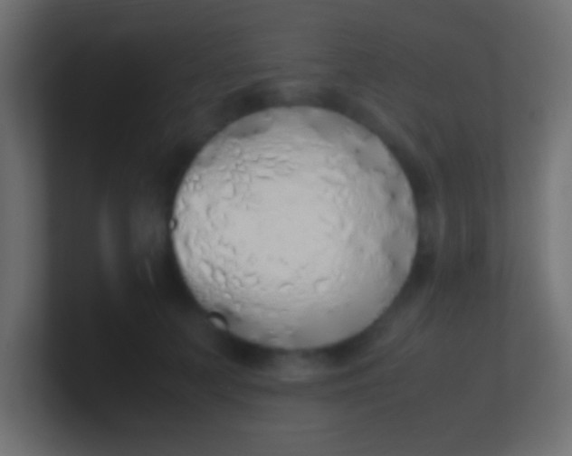 X0000100770703200807031210