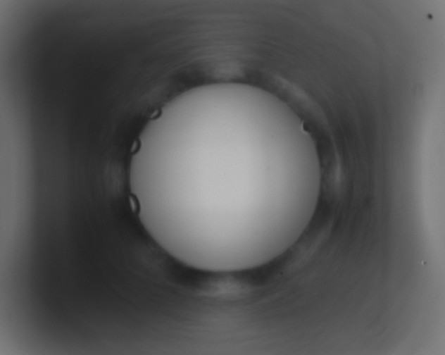X0000100770704200807031210