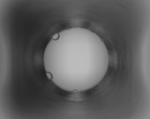 X0000100770705200807031210