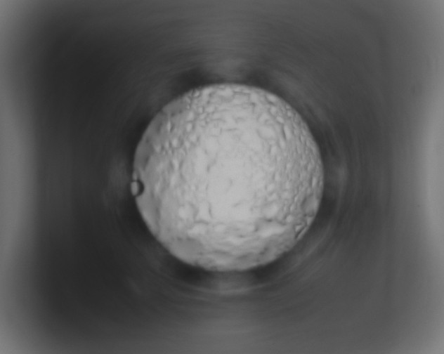 X0000100770707200807031210