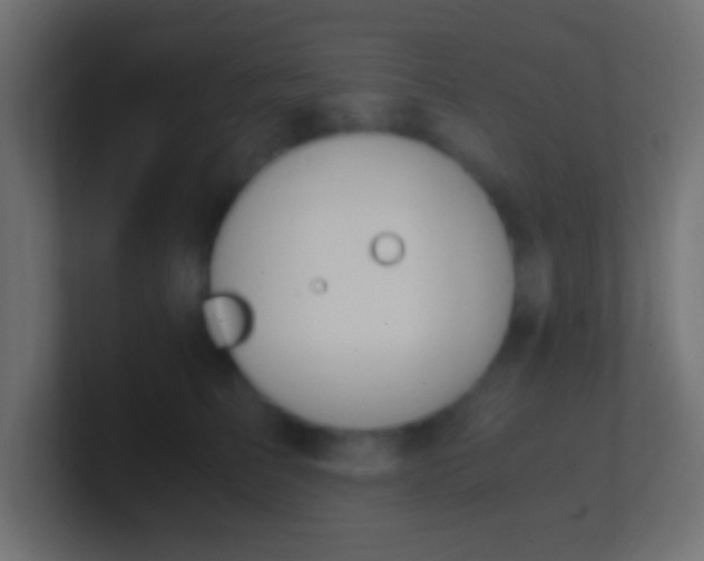X0000100770709200807031210