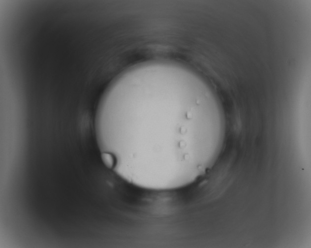 X0000100770711200807031210