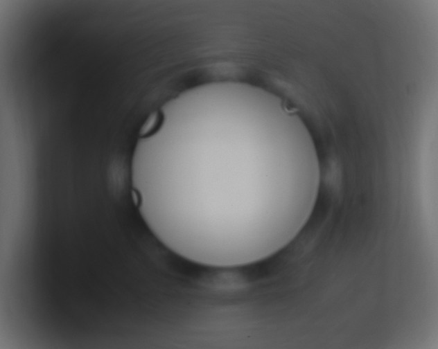 X0000100770715200807031210