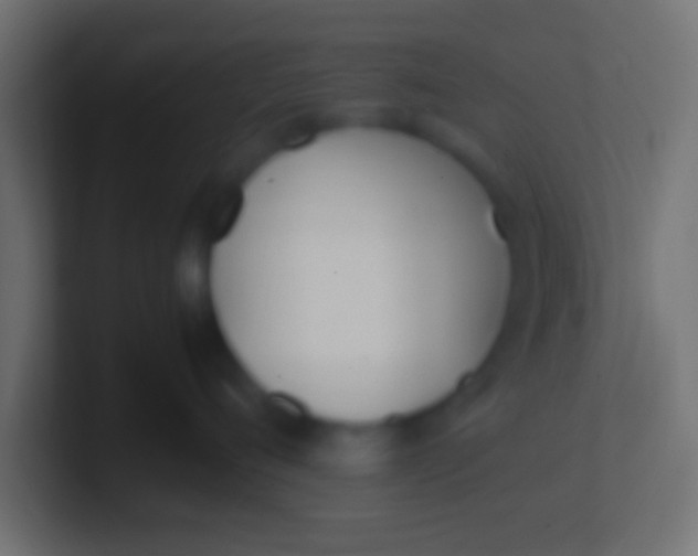 X0000100770720200807031210