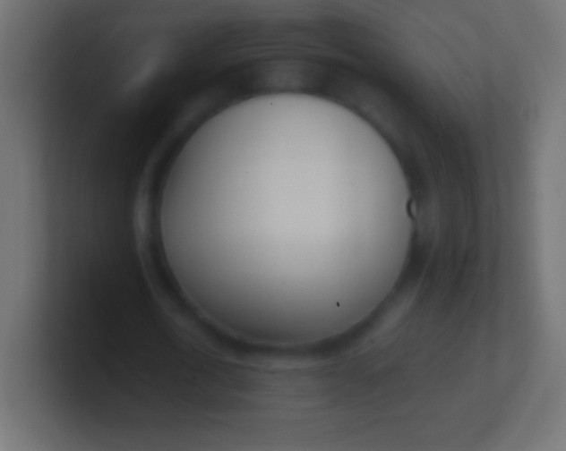 X0000100770722200807031209
