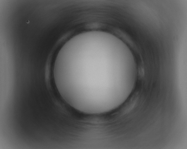 X0000100770724200807031209