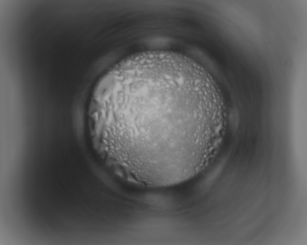 X0000100770725200807031209