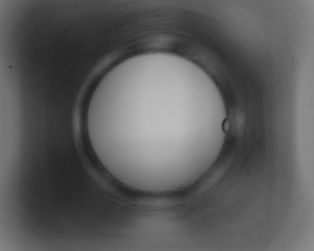 X0000100770726200807031209