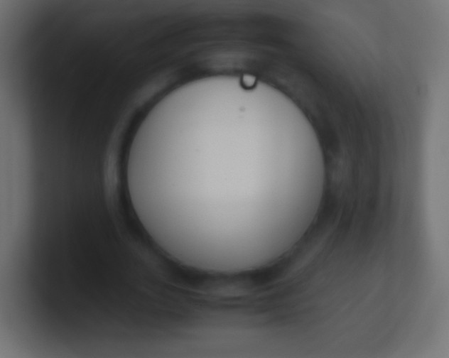 X0000100770727200807031209