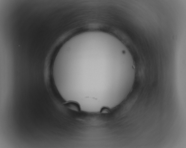 X0000100770728200807031209