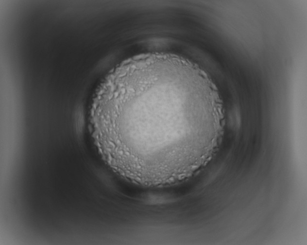 X0000100770733200807031210