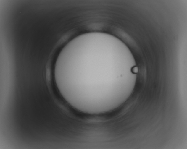 X0000100770734200807031210