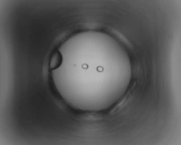 X0000100770736200807031210