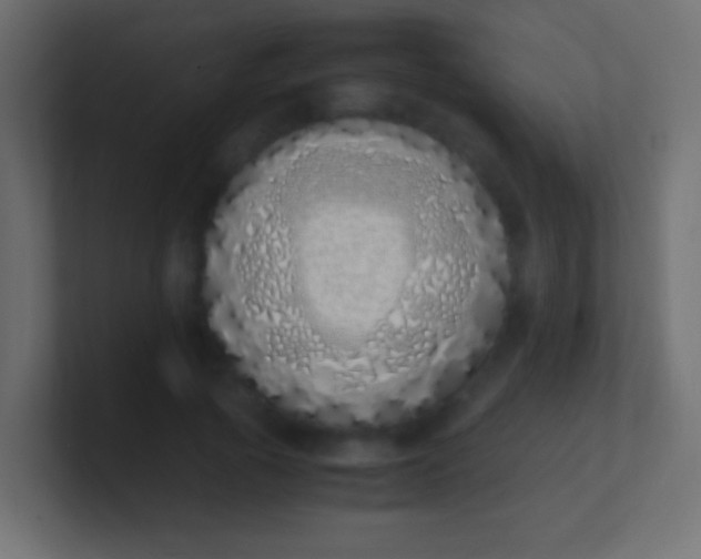 X0000100770737200807031210