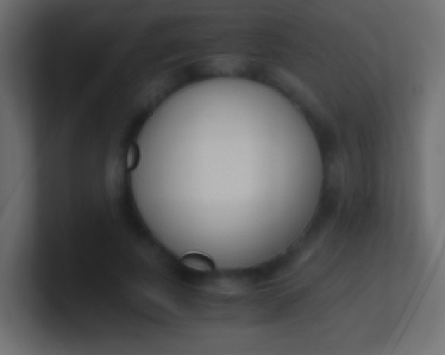 X0000100770739200807031210